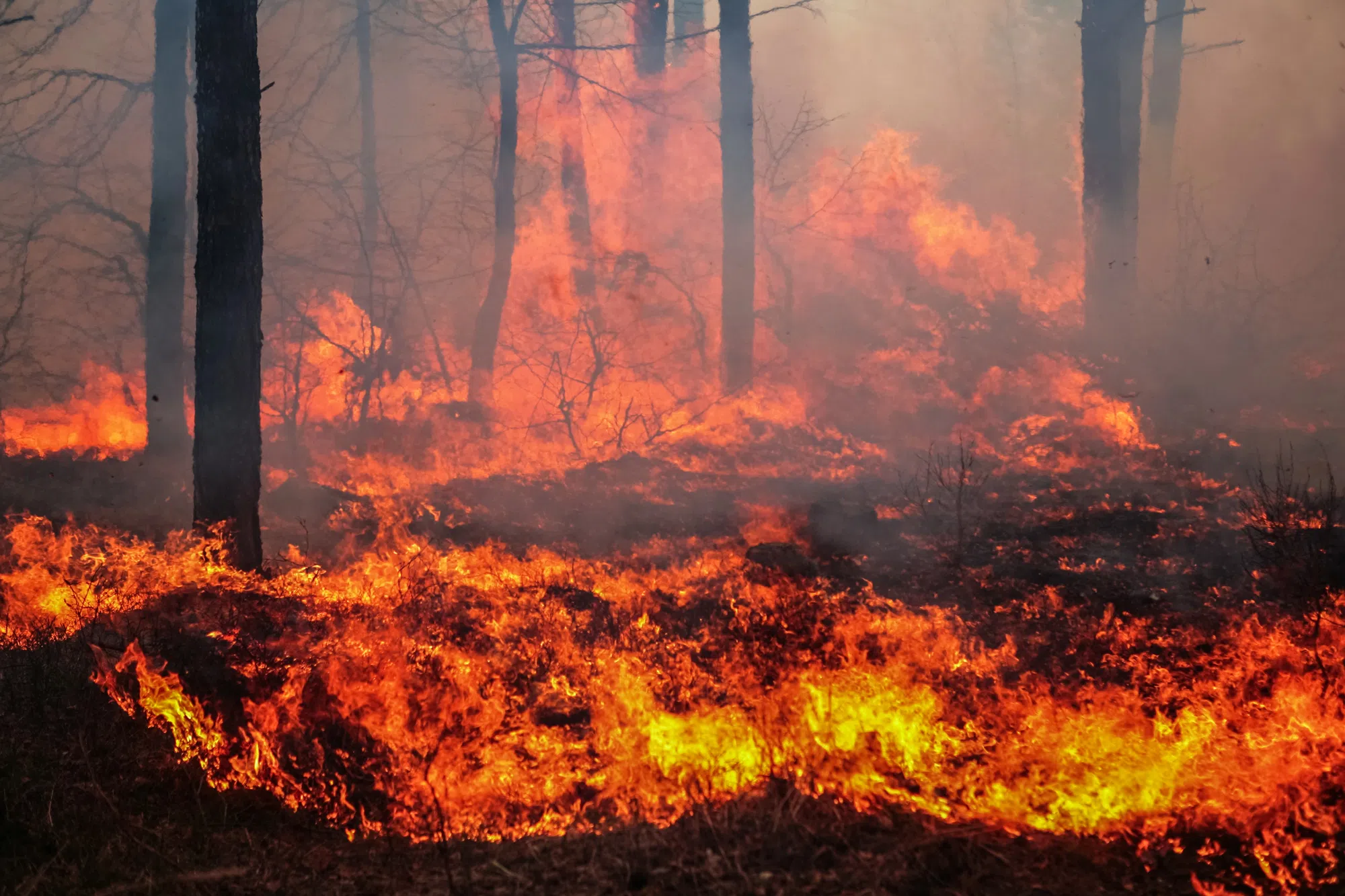 Wildfire season begins next week