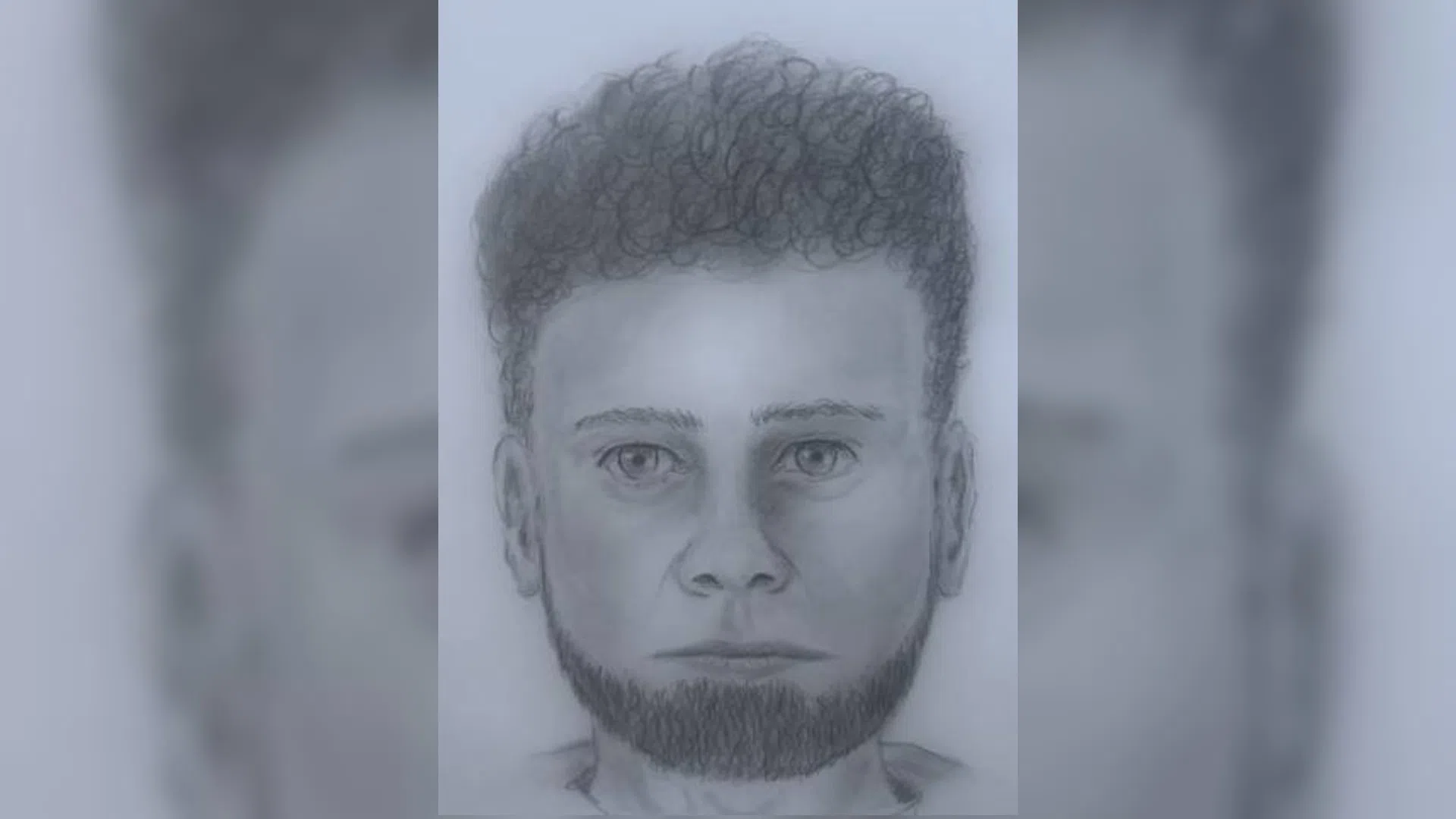 RCMP have sketch of suspect after attempted abduction near Cambridge-Narrows