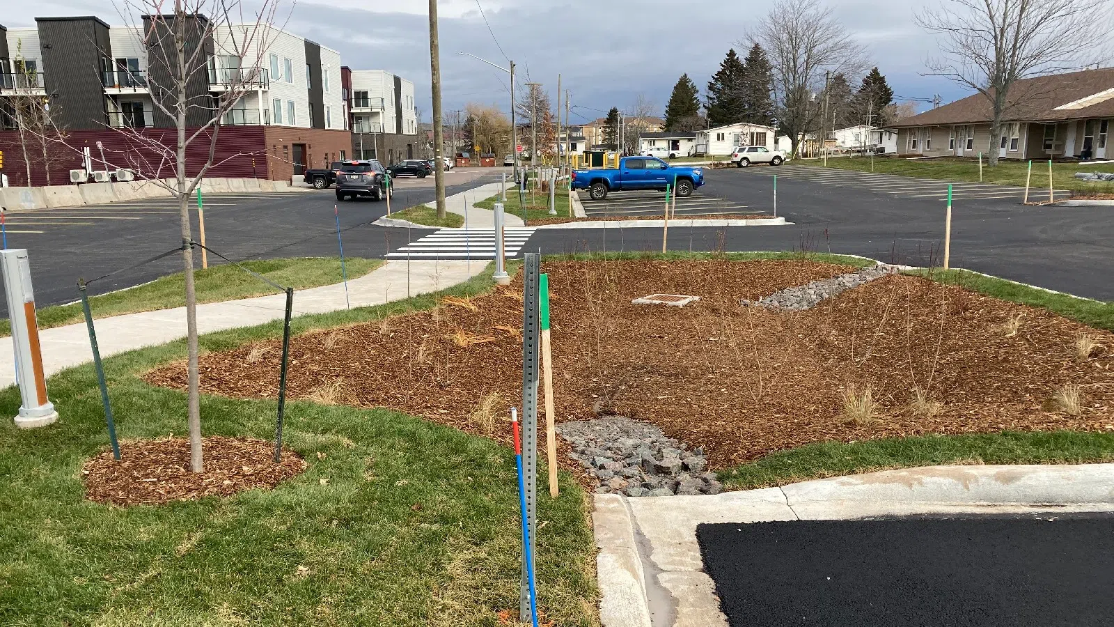Dieppe expands tree bylaw with sustainable alternatives for developers