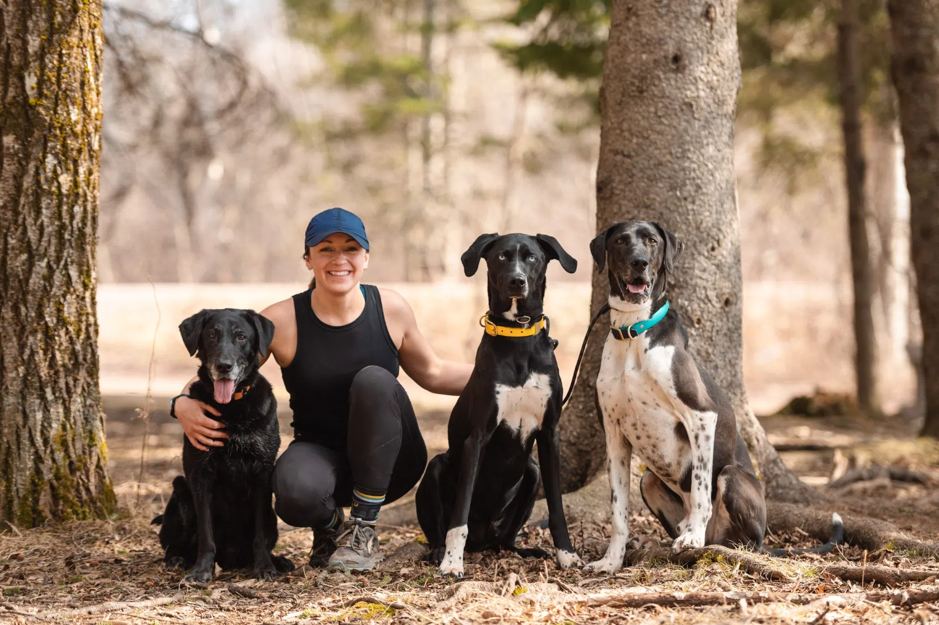 Harness dog racing event to be held at Mapleton Park