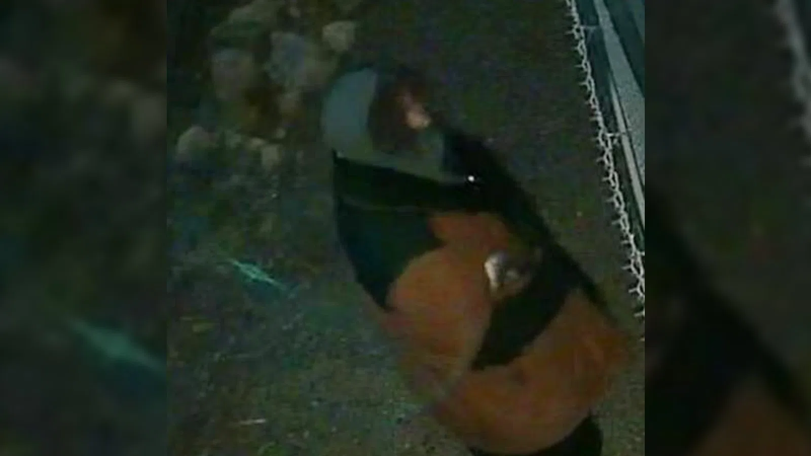 Six RVs burned in suspected arson, RCMP seek public's help