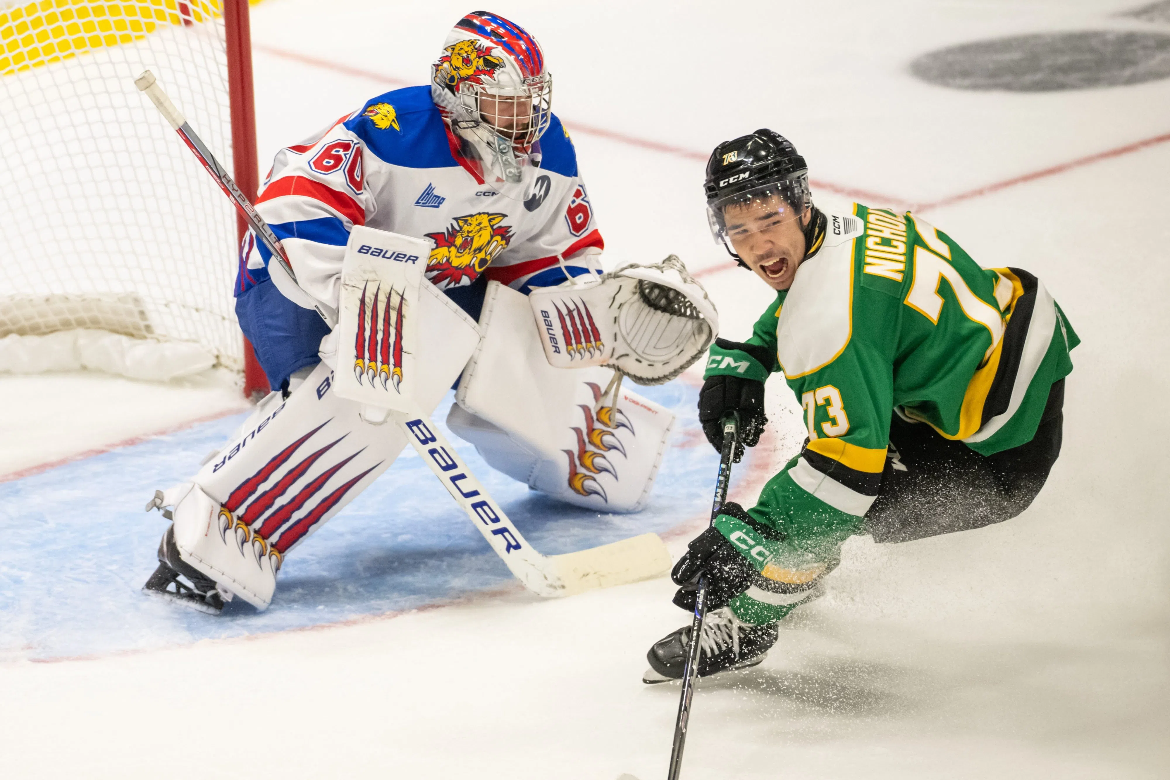 Wildcats fall to Knights in Memorial Cup semifinal