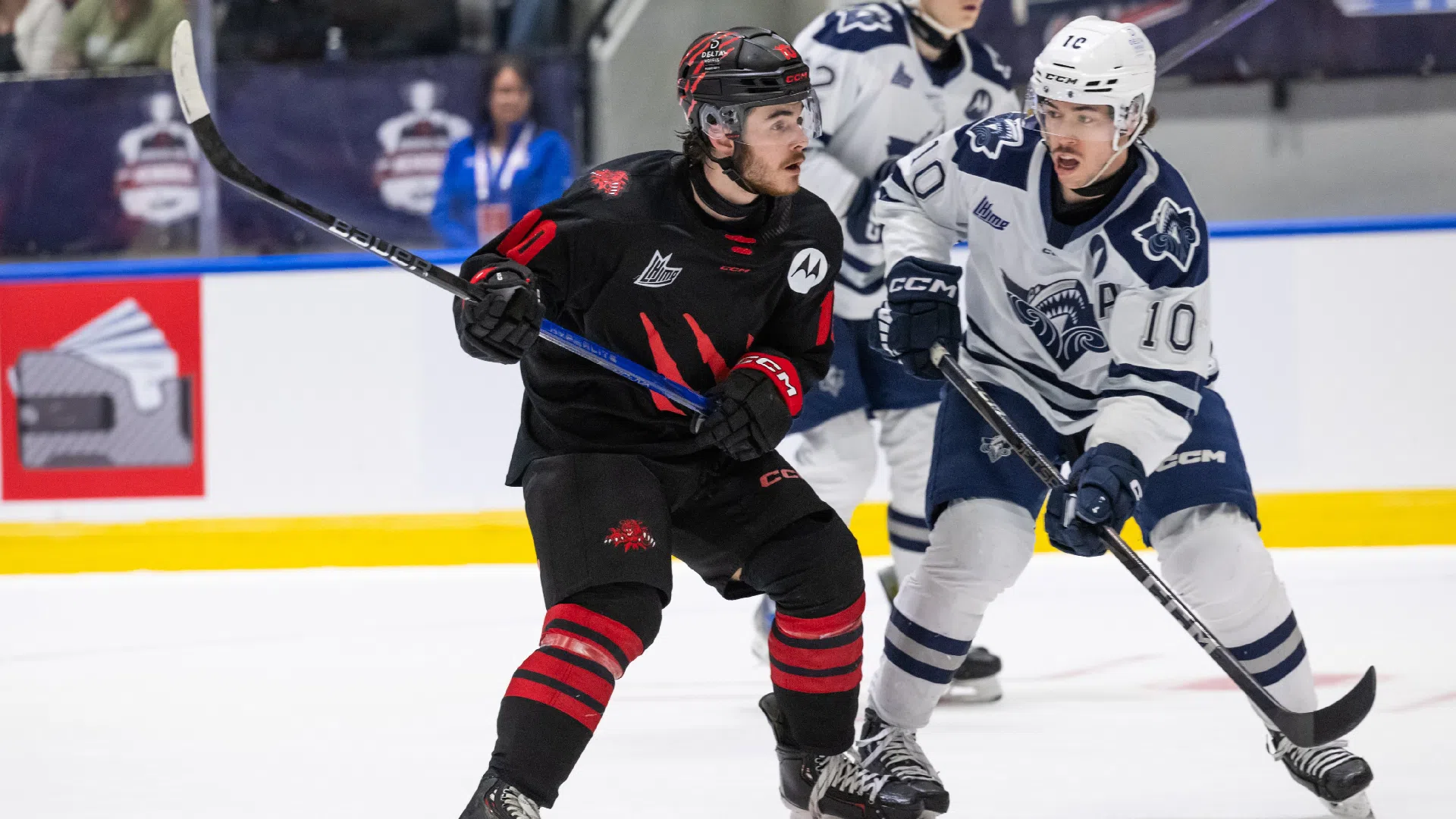 Moncton Wildcats advance to Memorial Cup semifinal