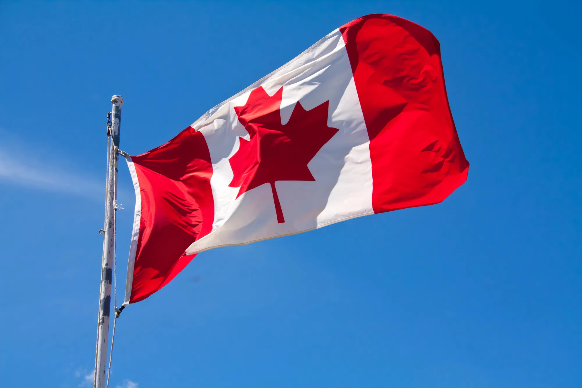 Provincial museums, galleries now part of Canada Strong Pass program