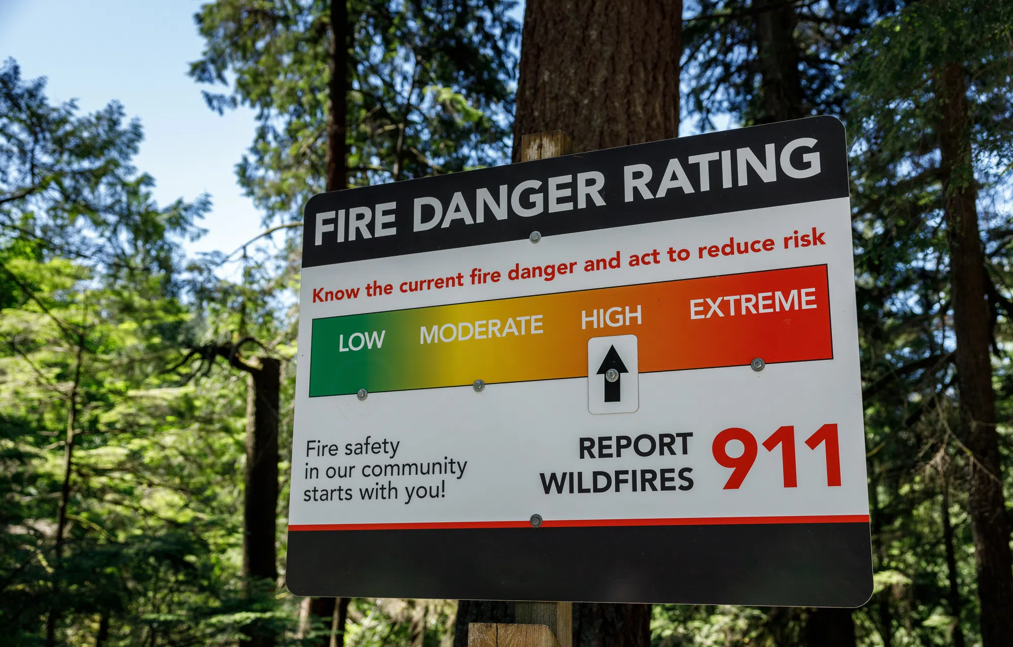N.S. wildfire season on par with last year as officials investigate Ostrea Lake fire