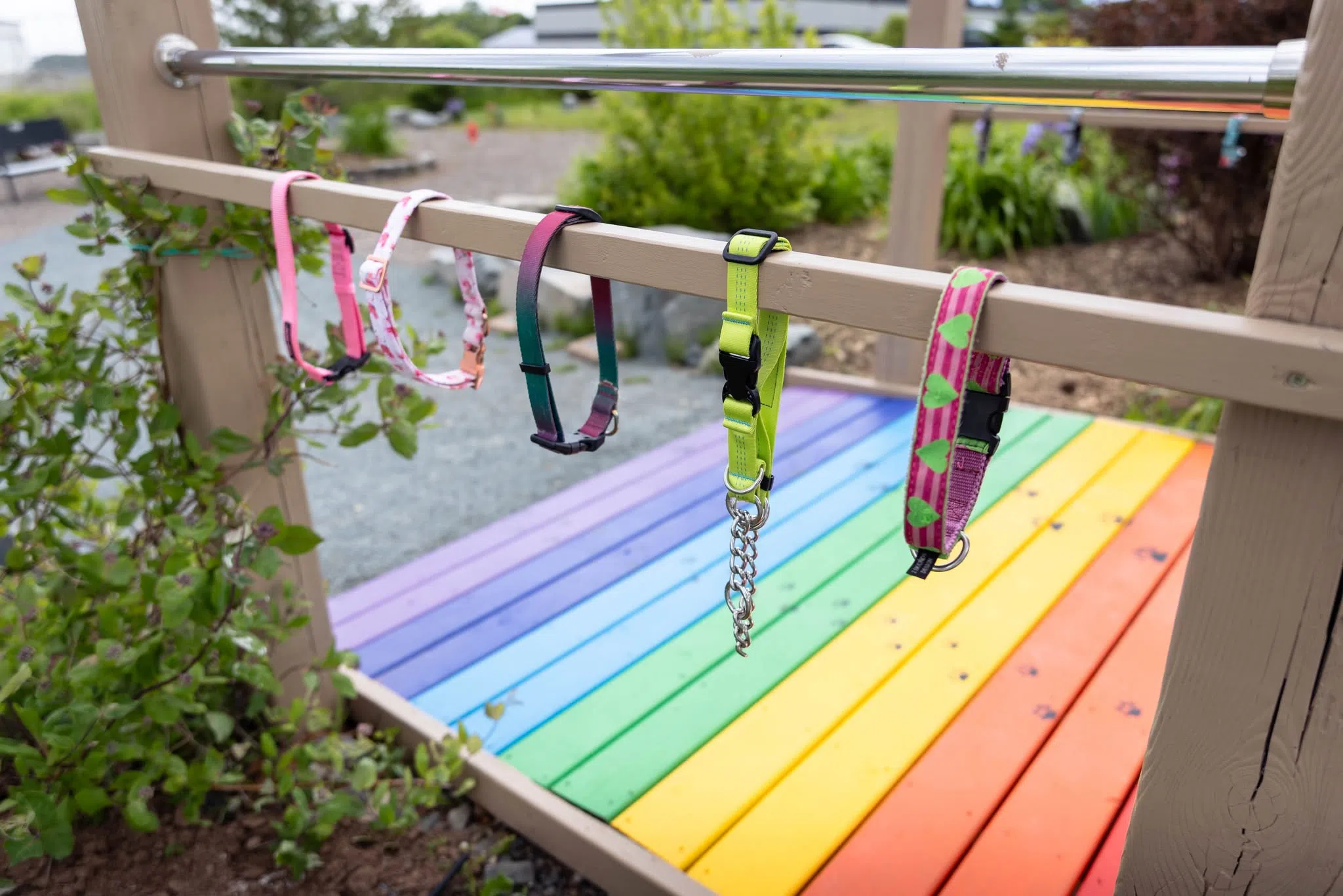 Rainbow bridge at N.S. animal shelter memorial garden helps owners grieve
