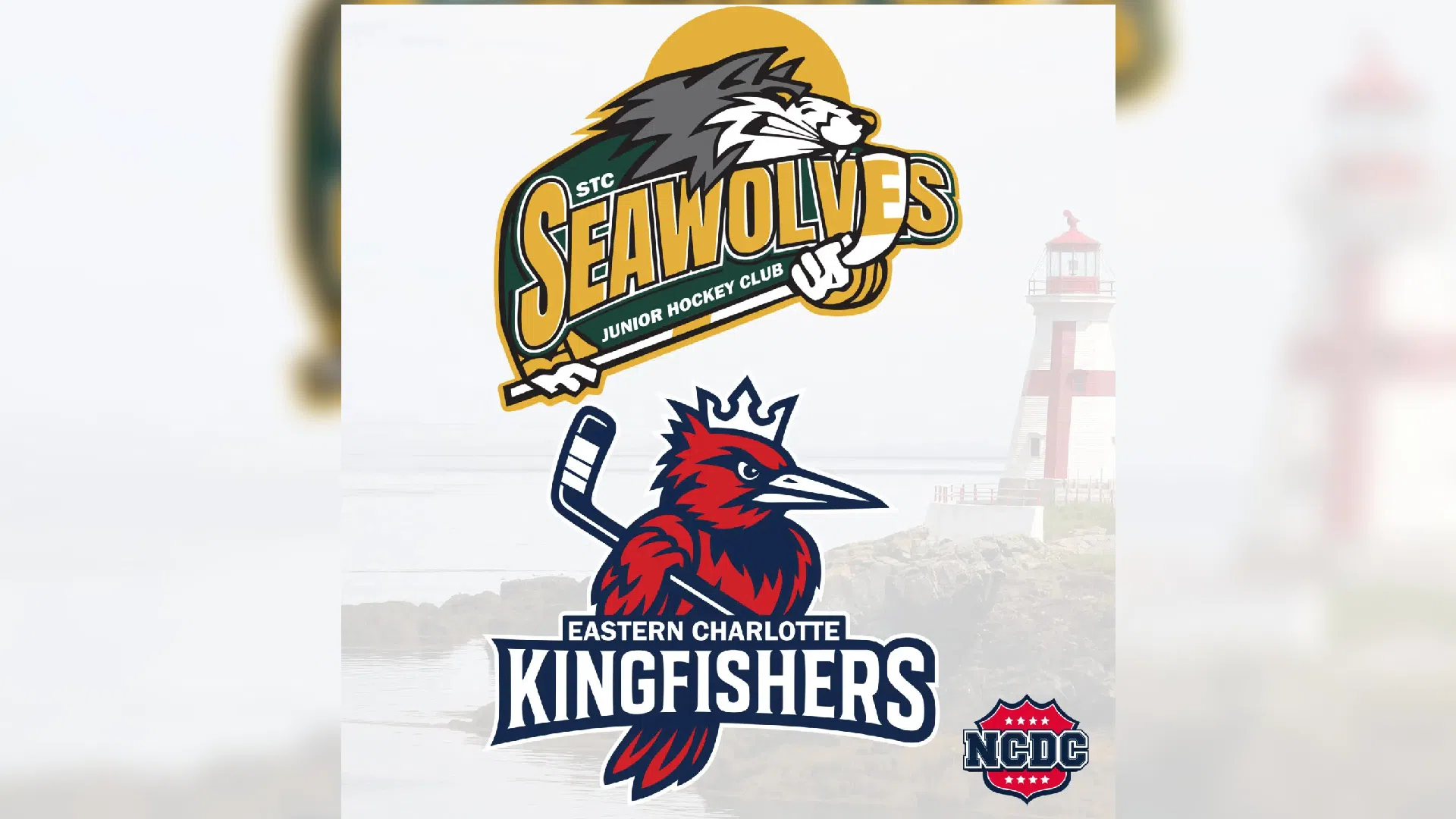 Names revealed for Charlotte County hockey teams
