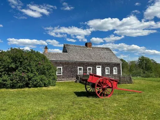 Traumatized horses should not return to Ross Farm Museum, says advocacy group