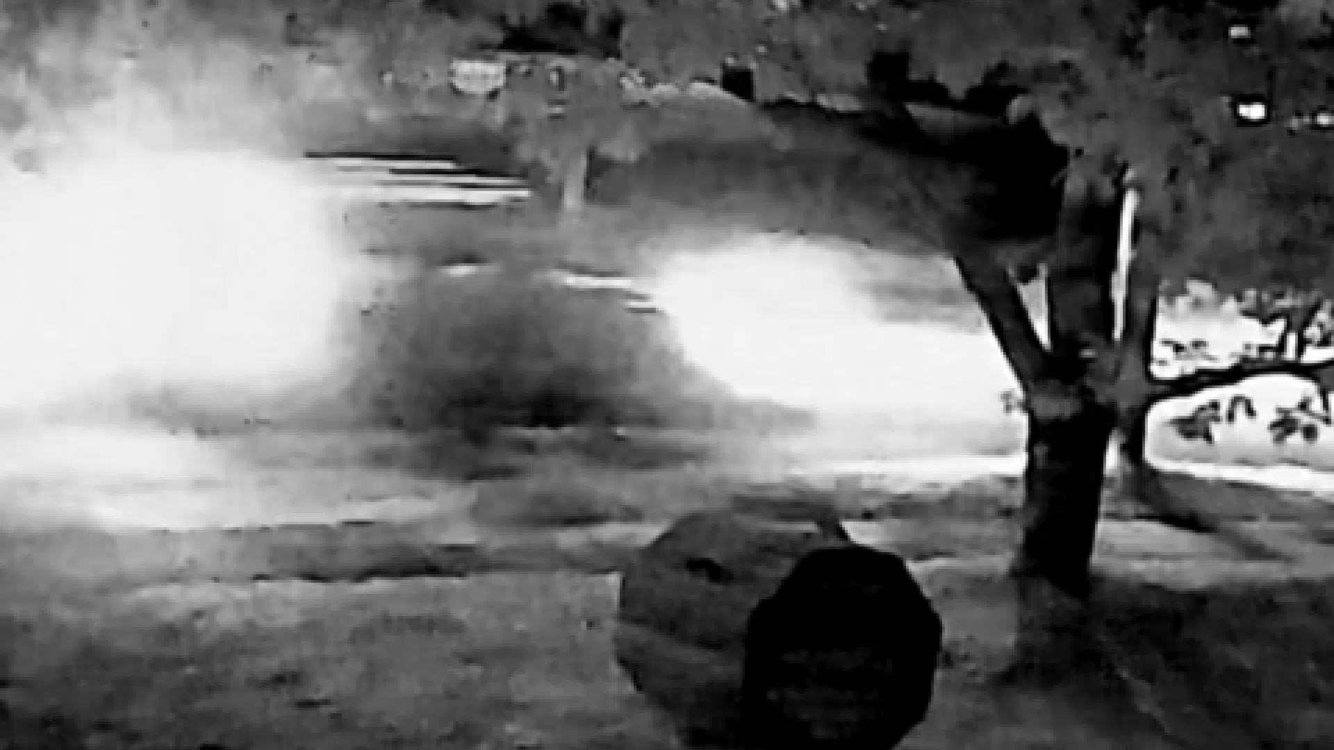 RCMP release photo in fatal St. Stephen hit-and-run