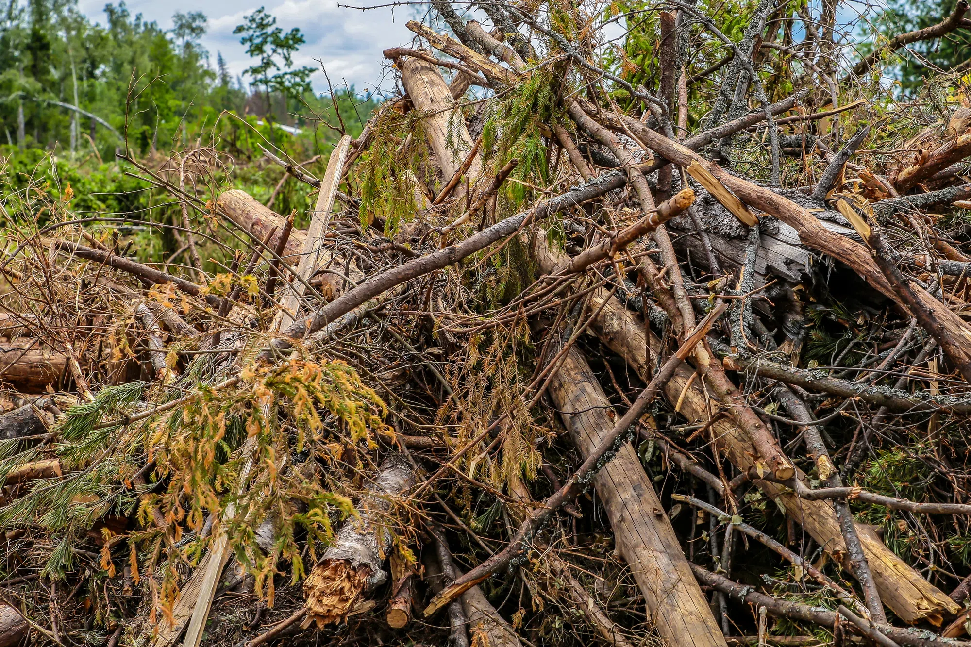 Dry conditions across N.S. with little rain in sight, burn-ban until mid-October