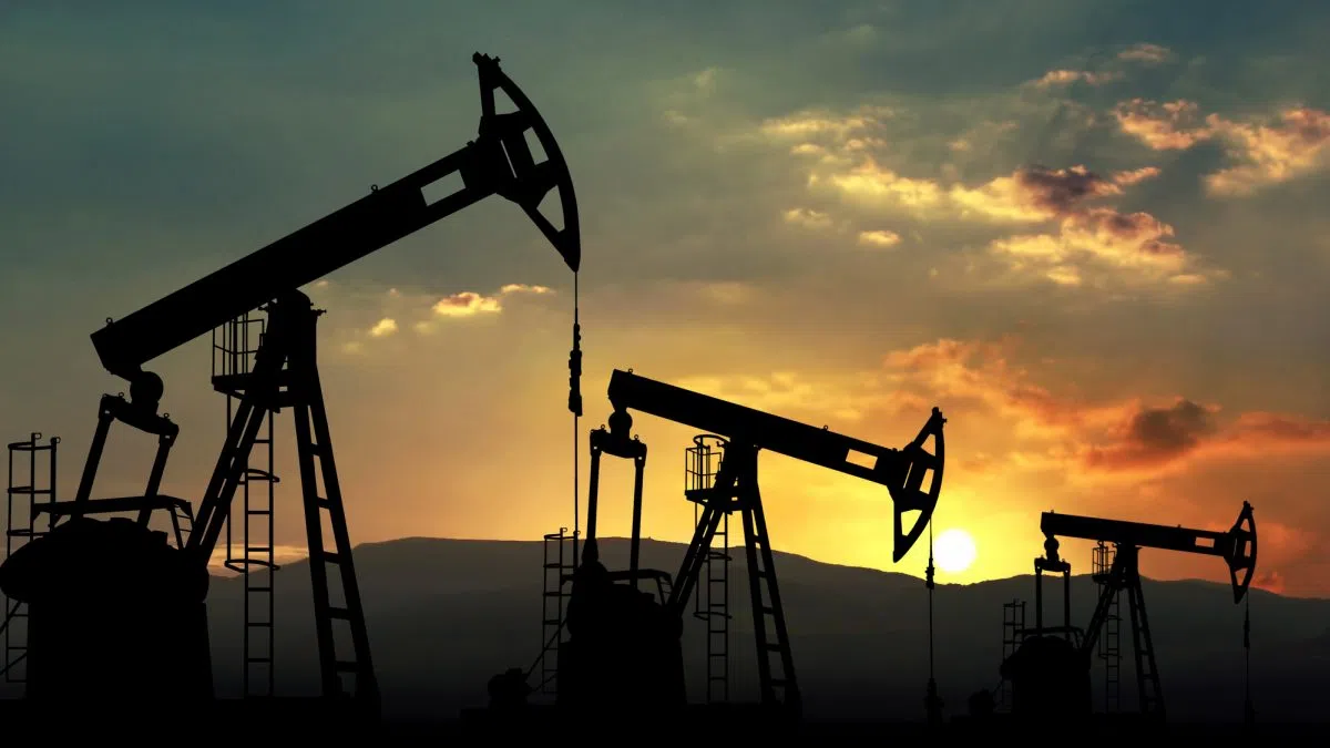 Canada's economy shrinks 0.1% in May: StatCan
