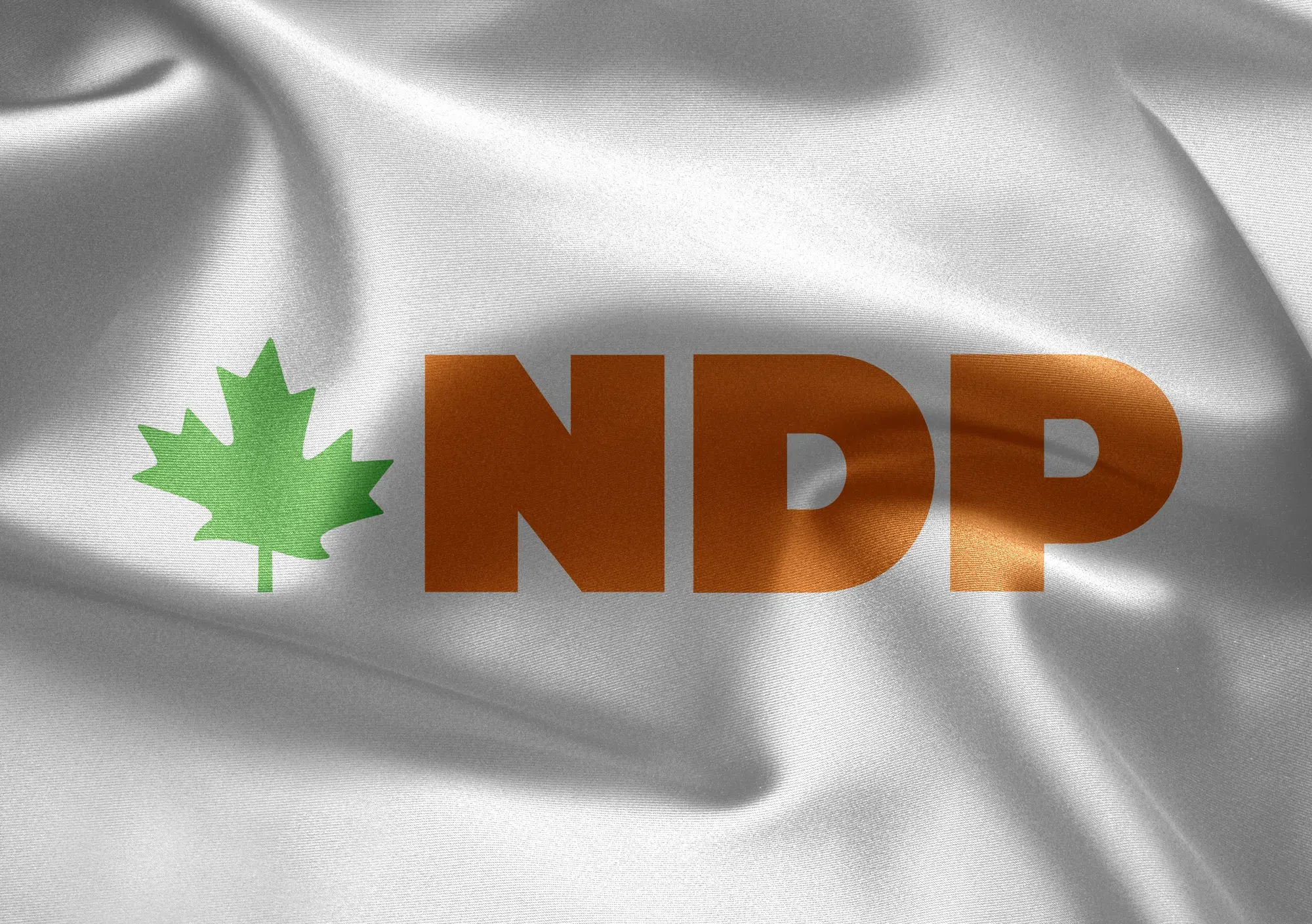 Federal NDP preparing to launch leadership race in September