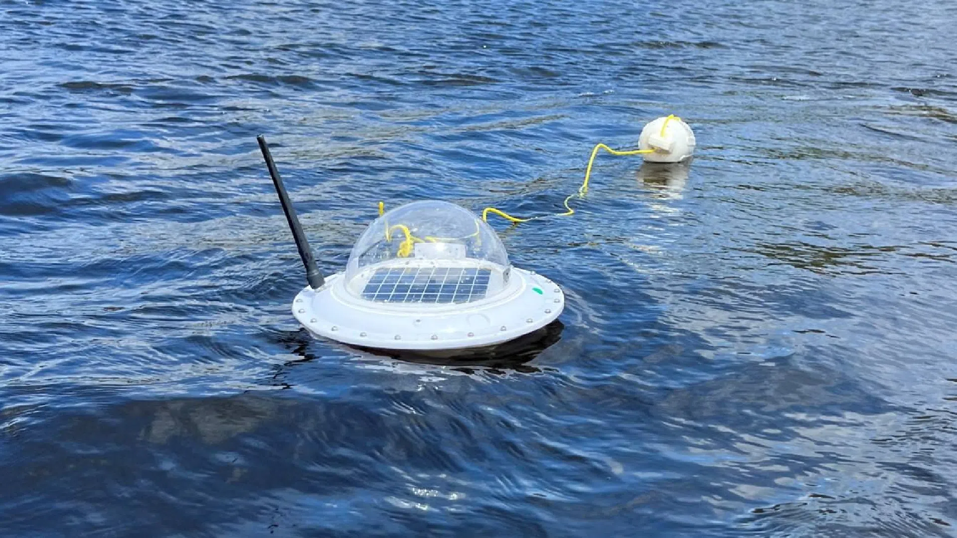 N.B. association using trackers to study cyanobacteria