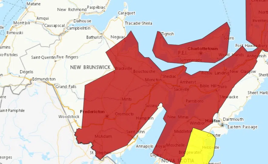 Heat warnings issued for parts of N.B.