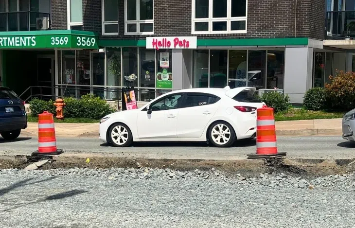 Halifax pet store watches sales dive from Dutch Village Rd overhaul