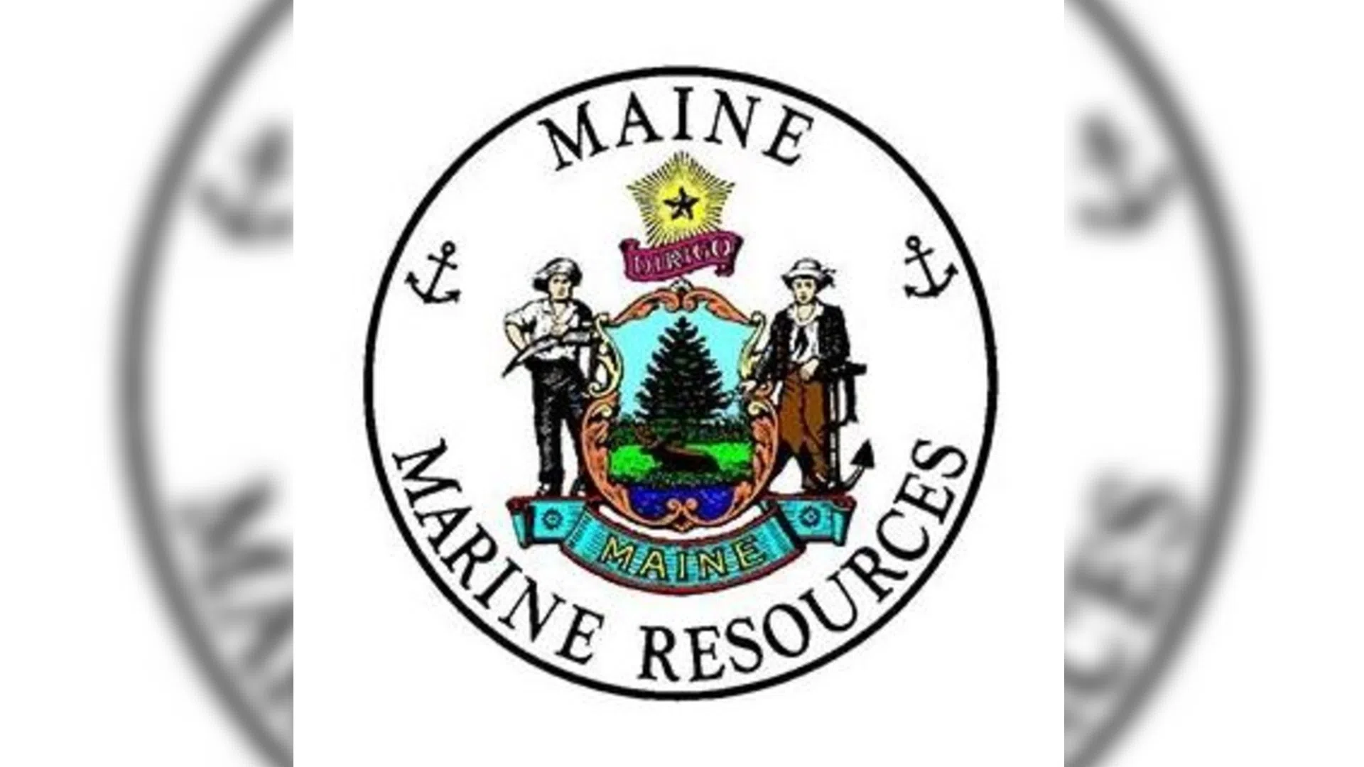 N.S. man dies after sailboat got trapped ashore in Maine
