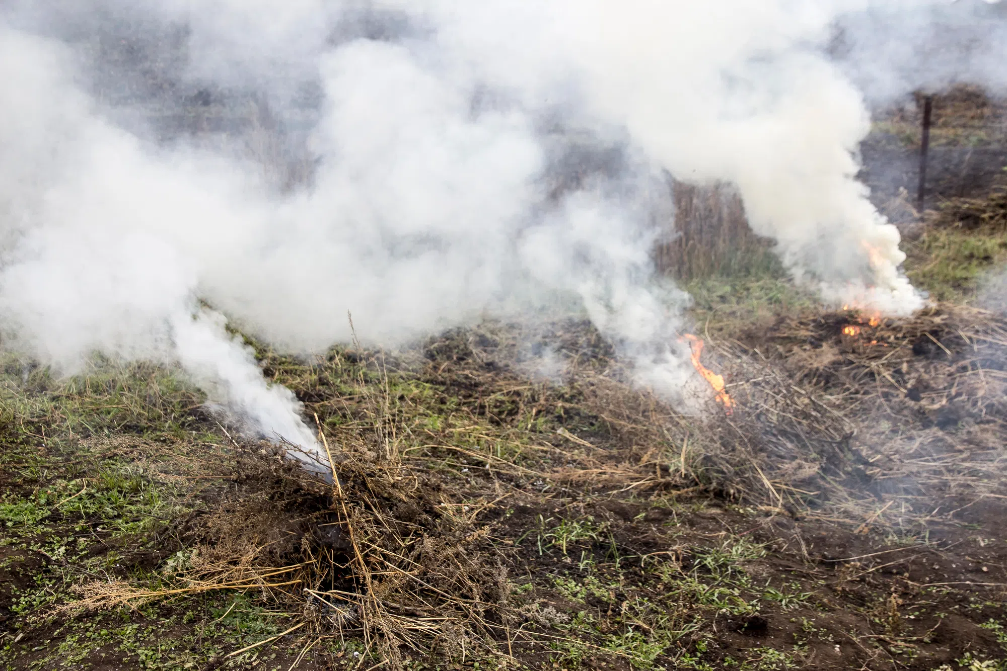 No major changes in N.B. wildfires, fire ban remains in effect