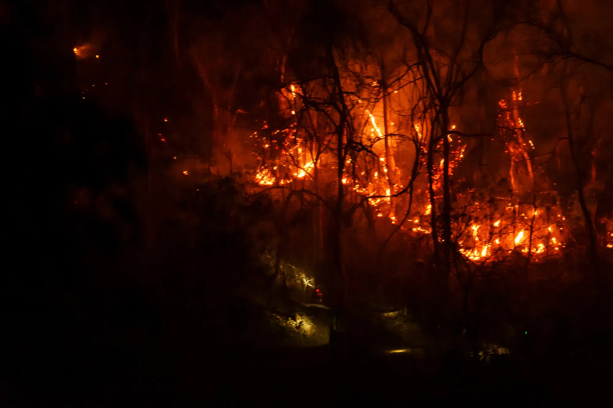 Long Lake wildfire expected to grow, weather conditions unfavourable