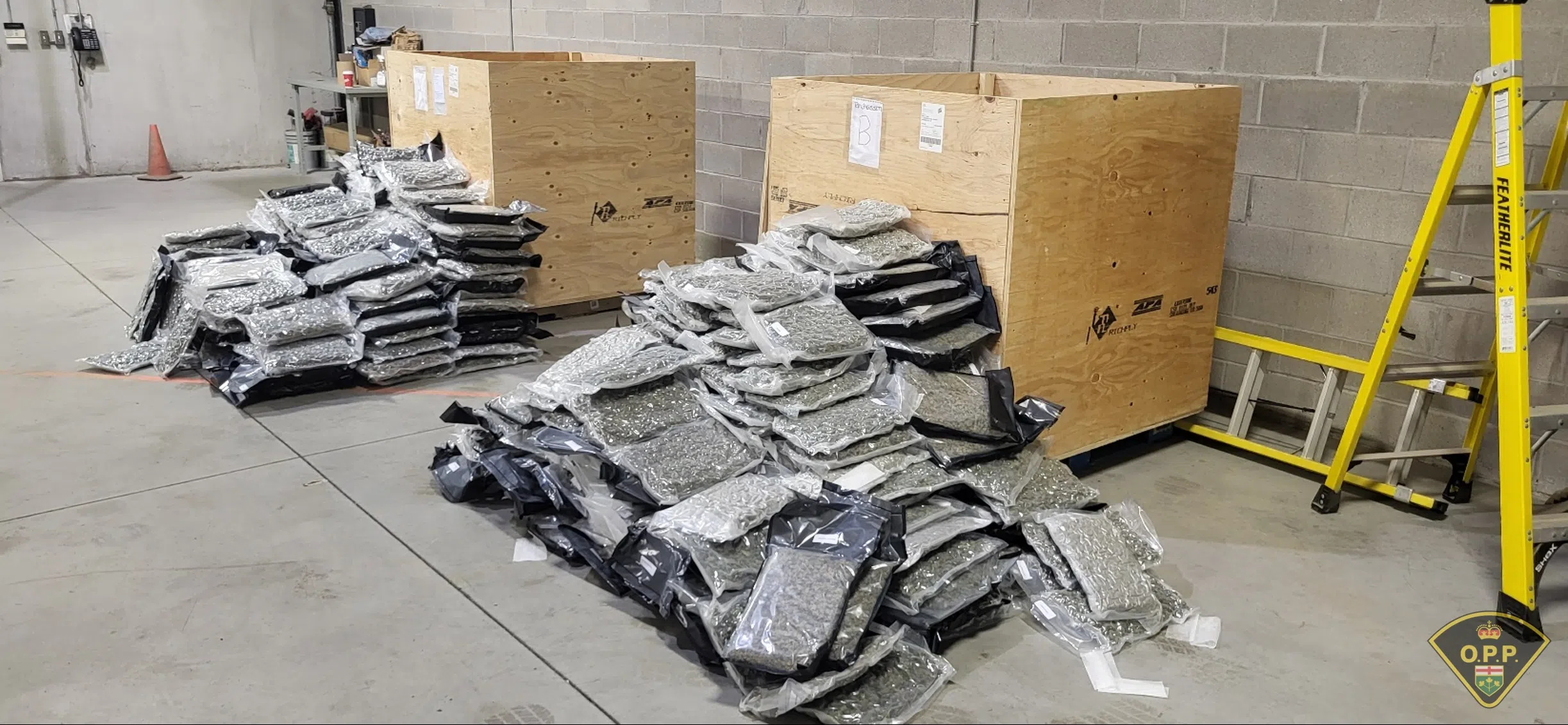 Illegal cannabis distribution network busted
