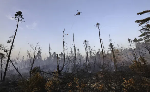 Evacuations for businesses lifted near Susies Lake wildfire