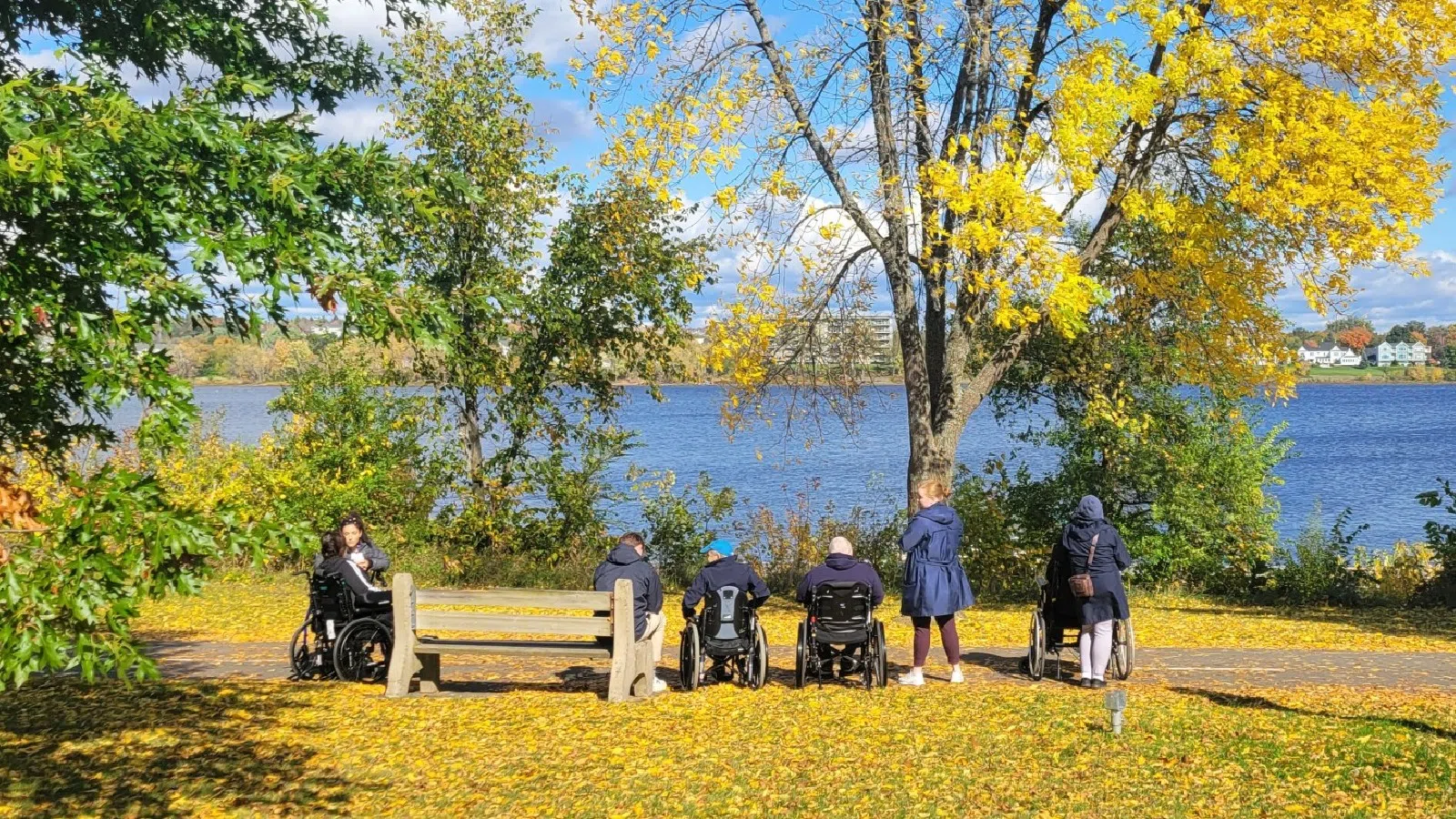 New survey seeks input to improve trail accessibility in N.B.