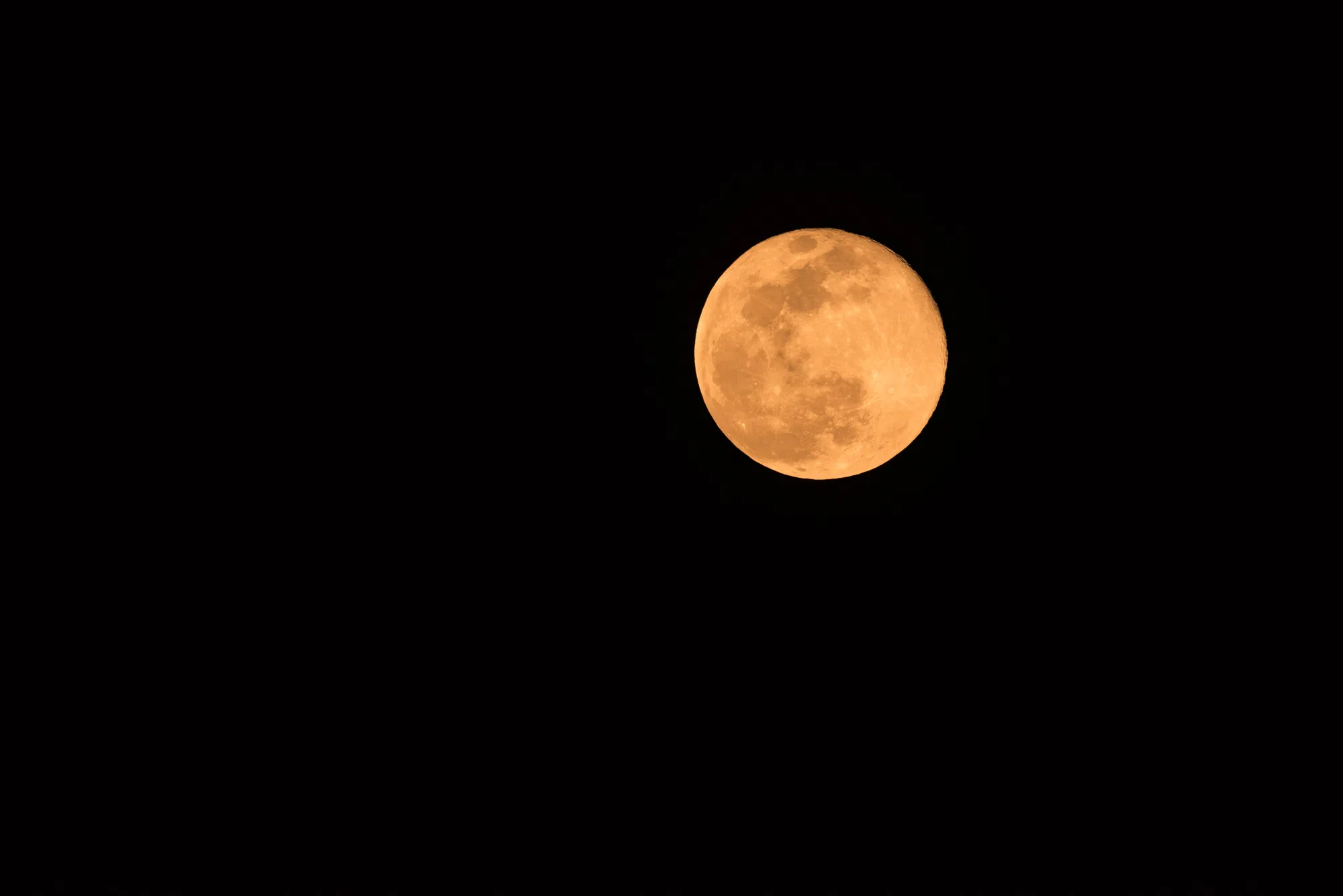 Harvest Moon Festival to focus on music, no fireworks this year