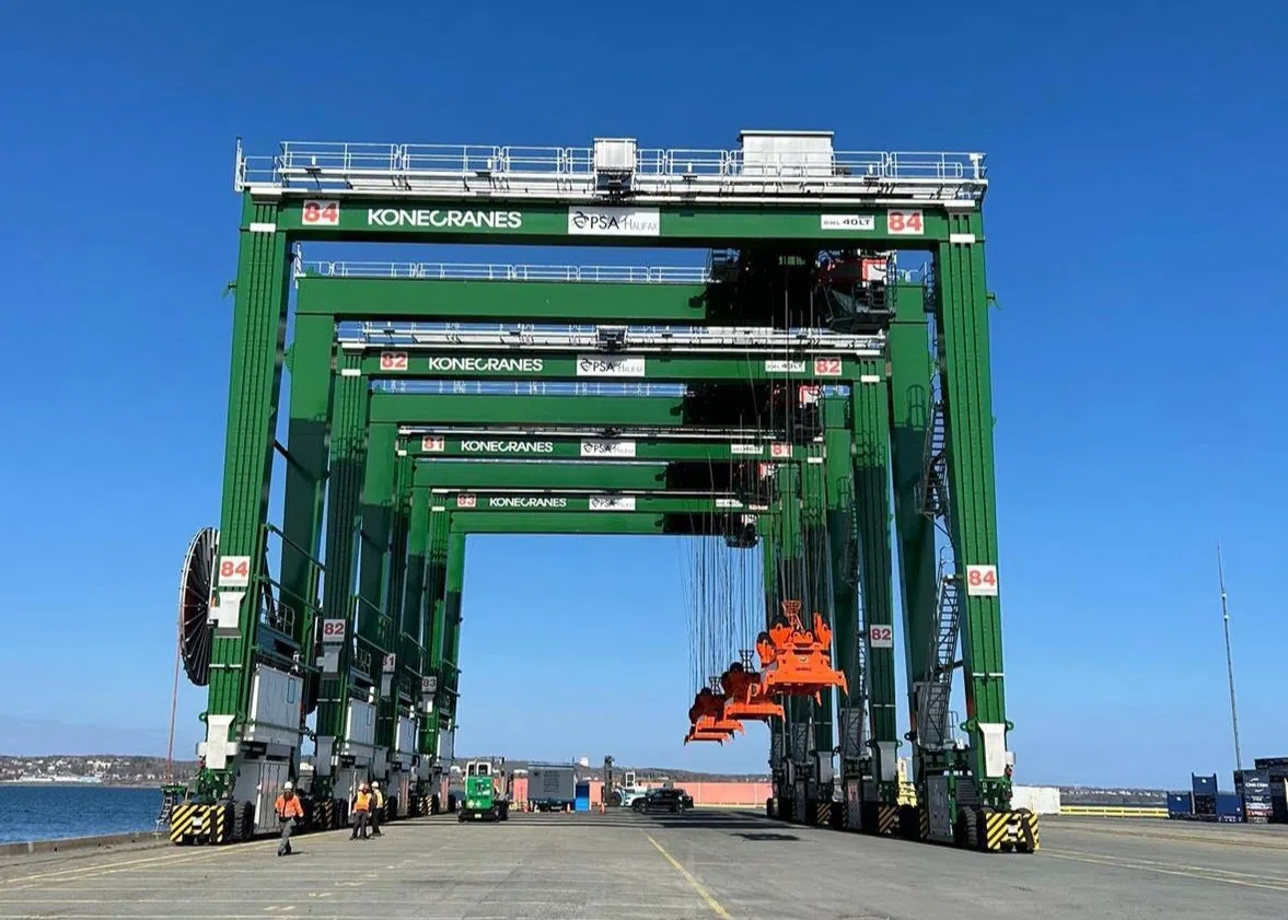 More than 800 kg of cannabis seized at Port of Halifax