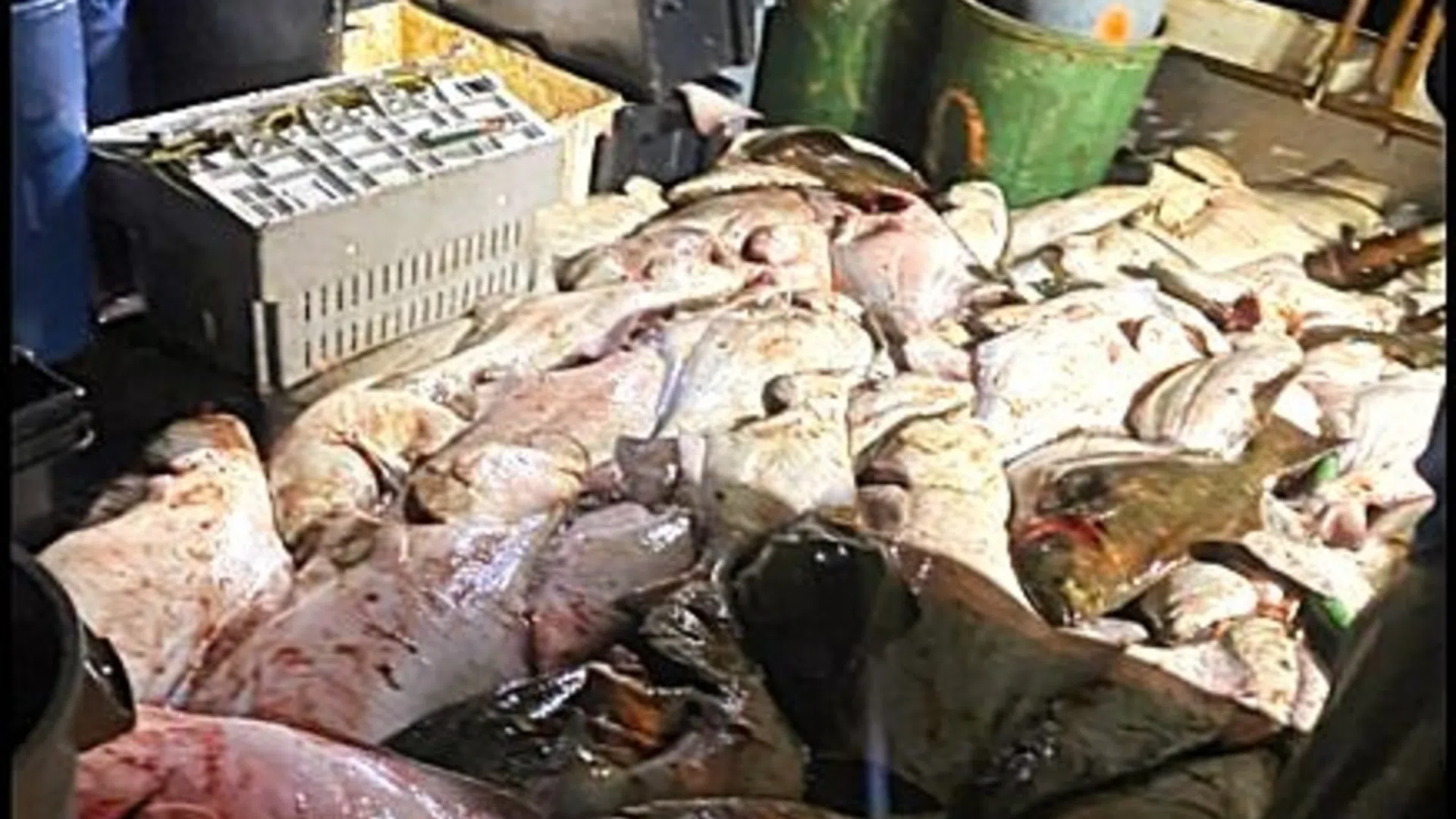 Illegal fishing costs fisherman $76K in fines