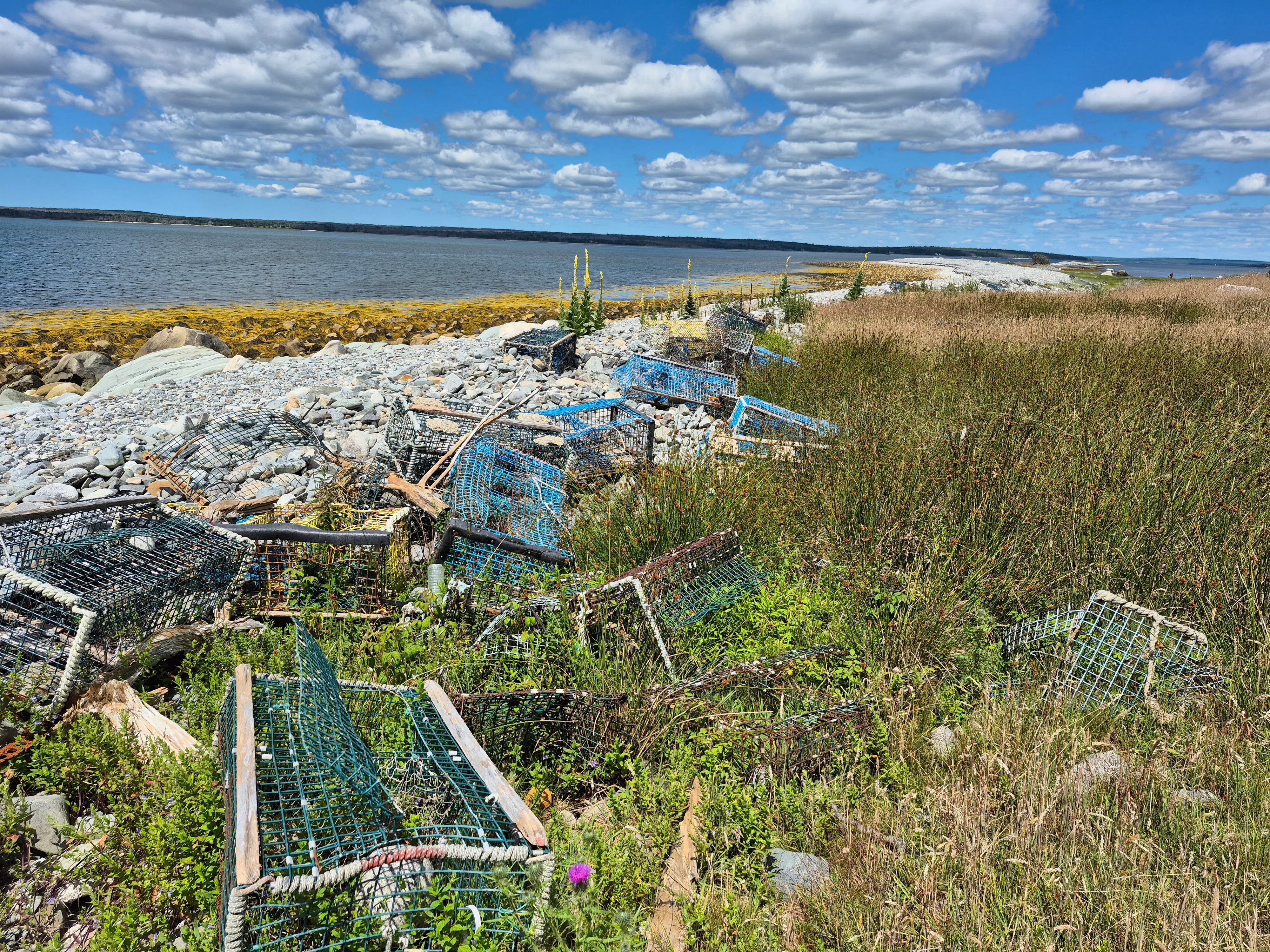 Scotian Shores begins multi-year clean-up of McNutts Island