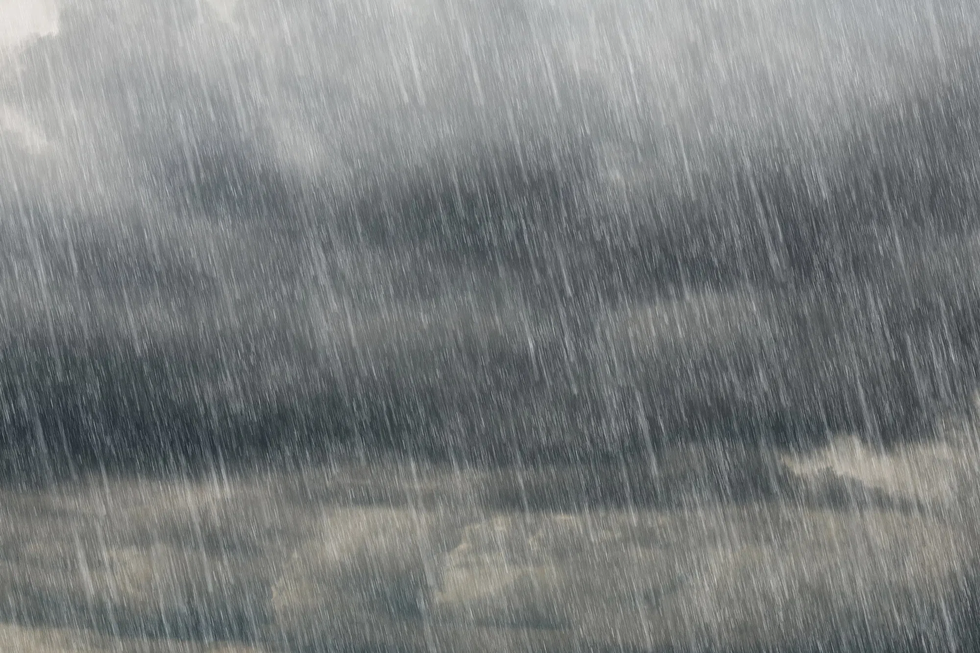 Strong fall storm to hit eastern parts of the province