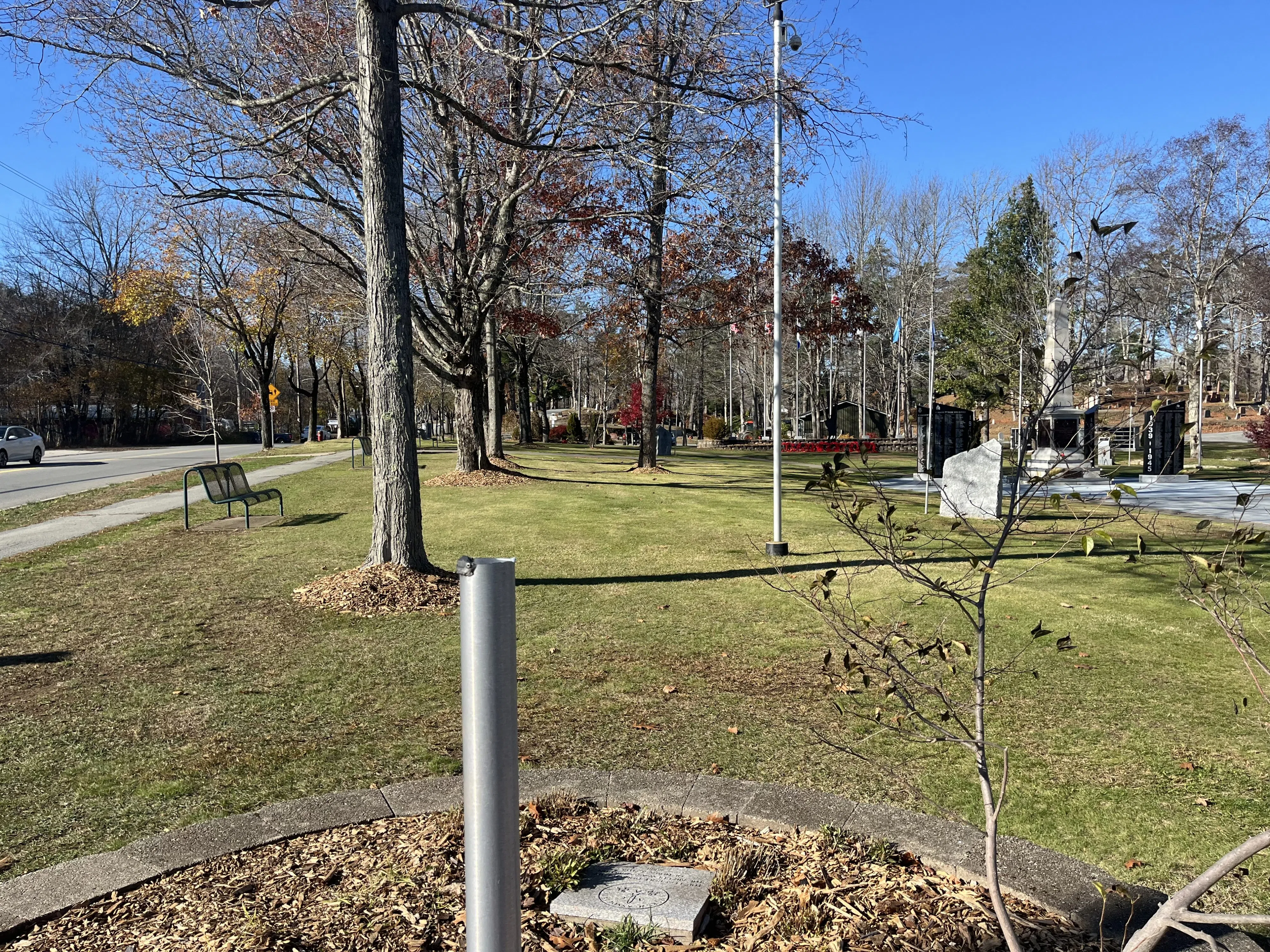Light pole at Veterans Memorial Park ripped down
