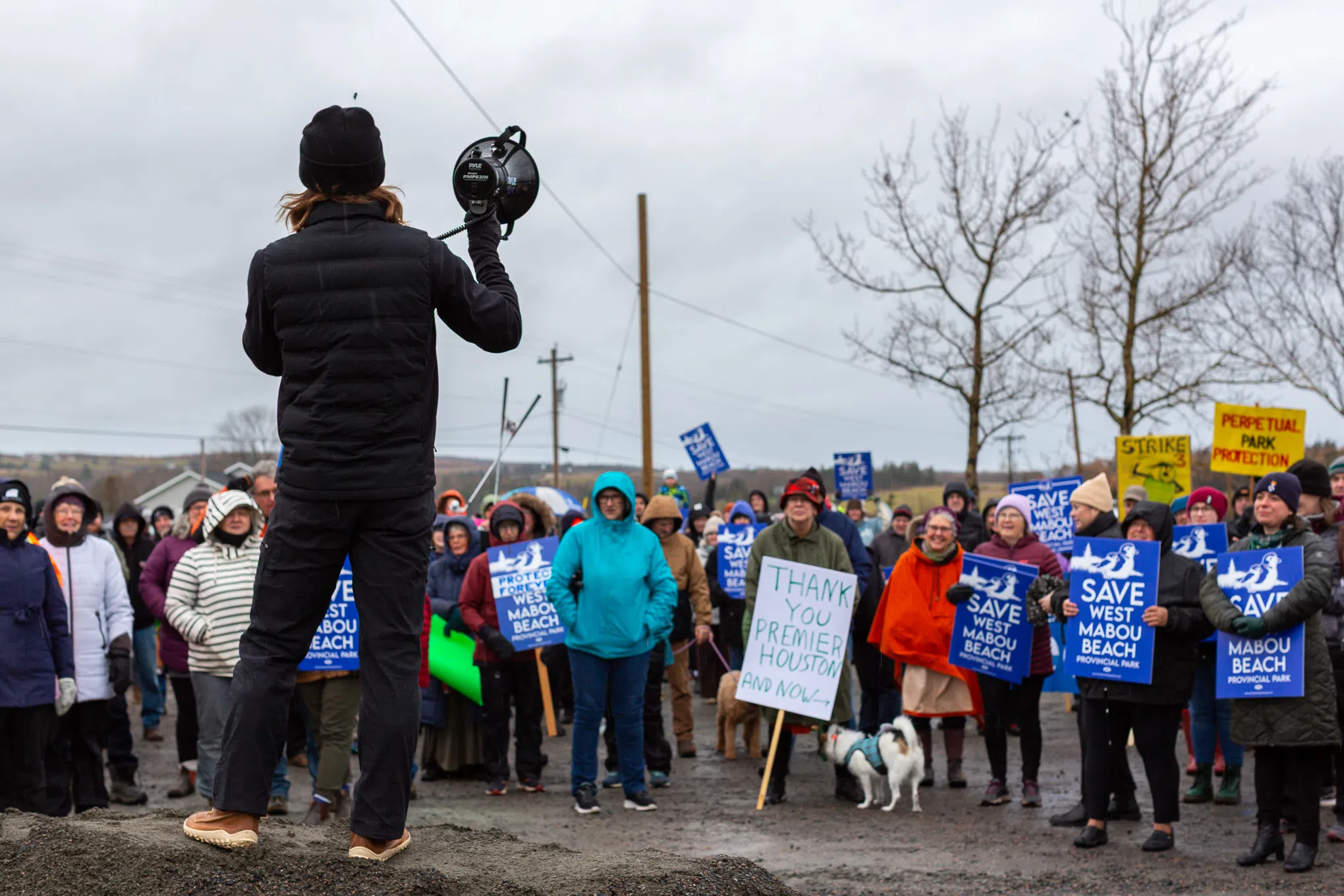 Local graphic novelist is standing up for West Mabou Beach