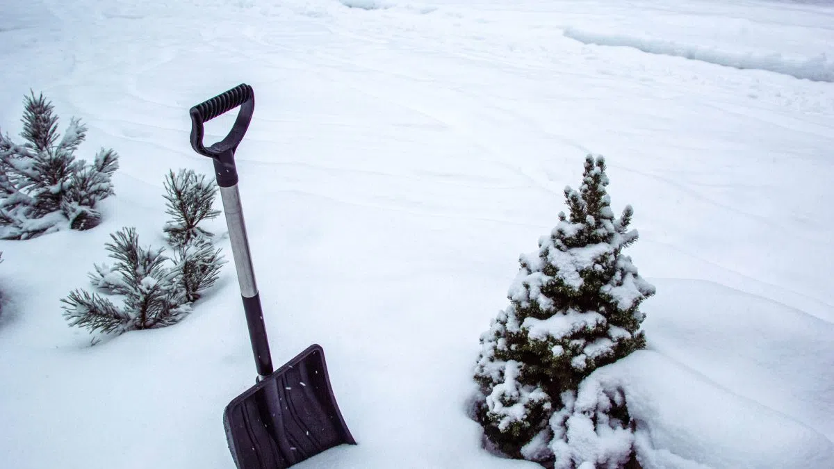 Full range of winter weather forecast this year