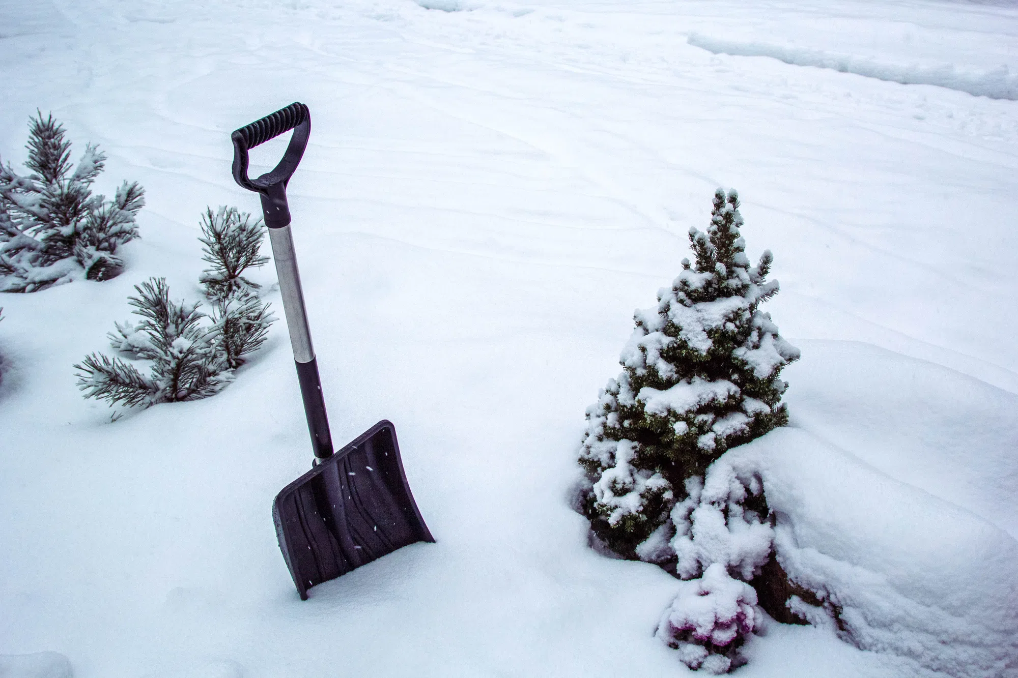 Full range of winter weather forecast this year