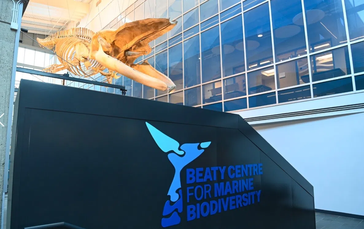 Halifax aquarium opening big success