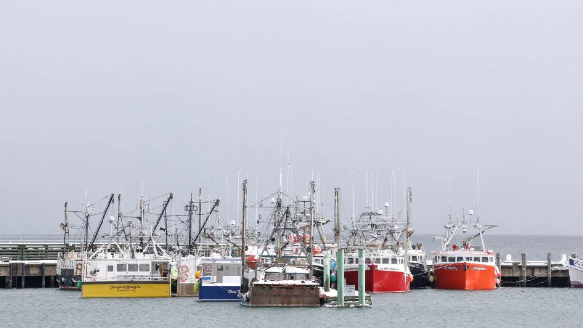 Port of Digby gets $600k for climate change protection