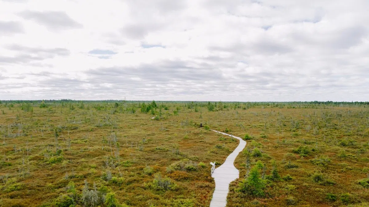 Wetland loss raising risks for Canadian communities