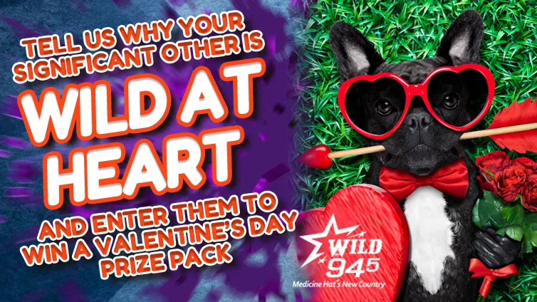 Feature: https://wild945.ca/contests/