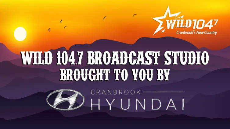 Feature: https://www.cranbrookhyundai.com/