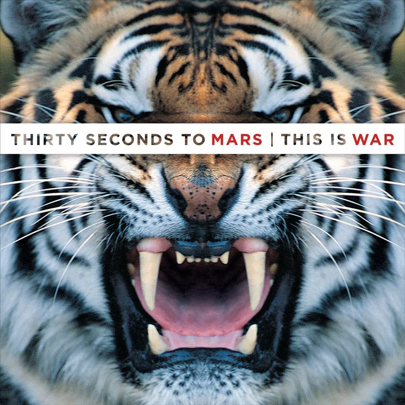 Thirty Seconds to Mars This is War