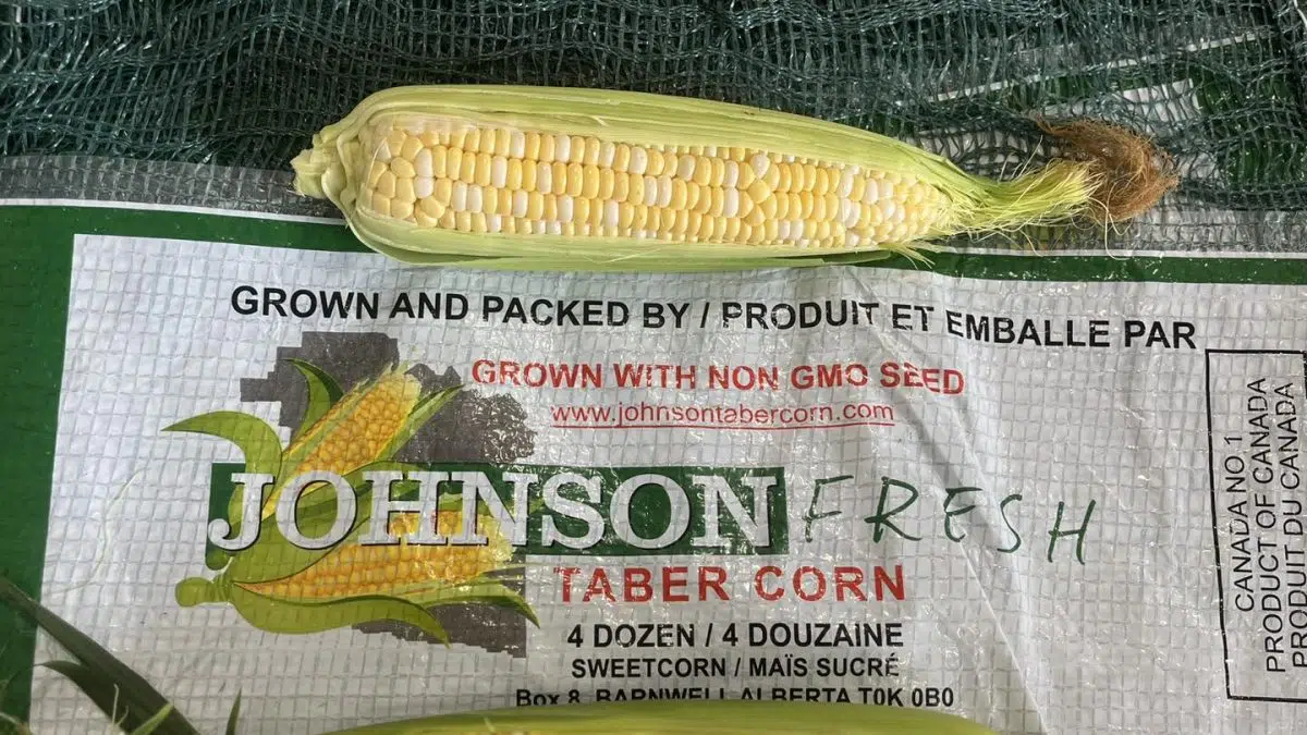 Taber corn stands open across Central and Southern Alberta CJWE