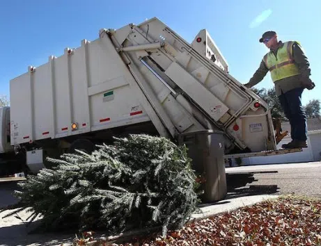 The City Of Lethbridge Christmas Tree Collection Will Take Place   Screenshot 2024 01 04 141425 