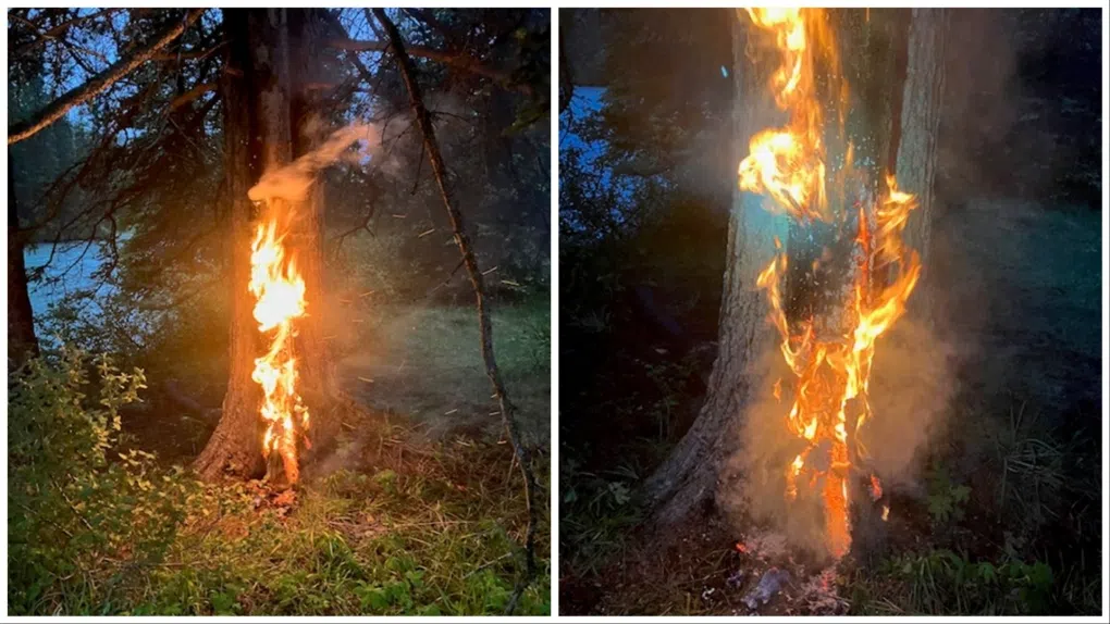 Lake Louise RCMP investigating tree arsonist | CJWE, Alberta's Best Country