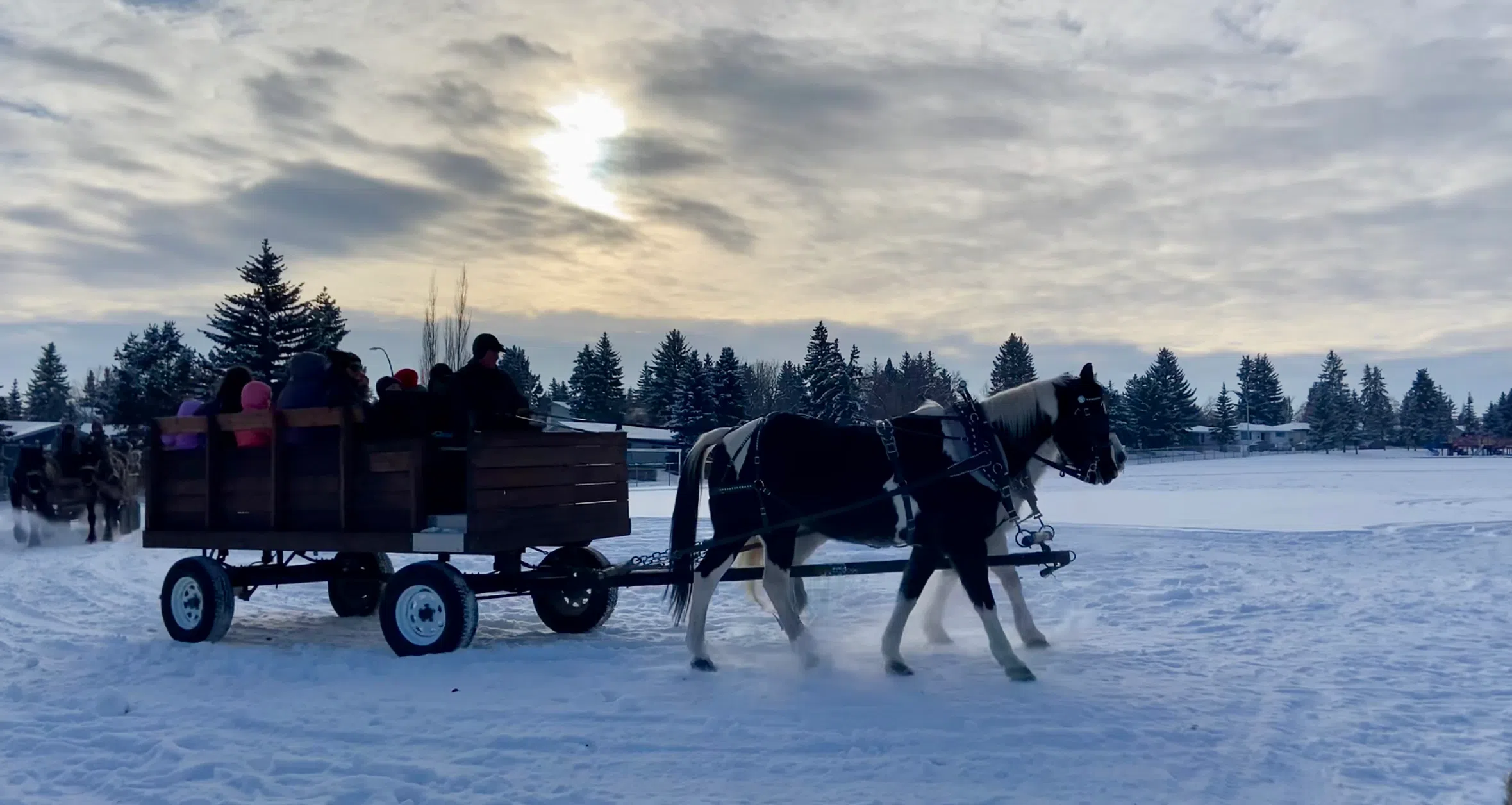 Sleighs at Southwood Winter Festival 2025, photo by William L Baliko