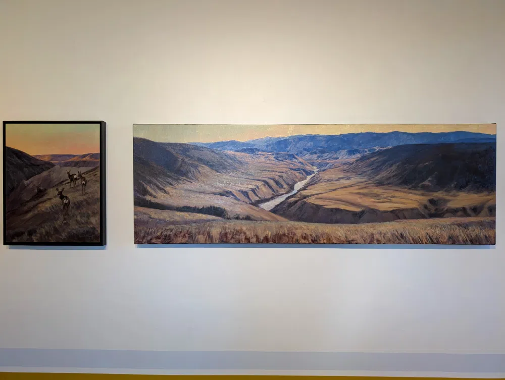 Oil paintings on display