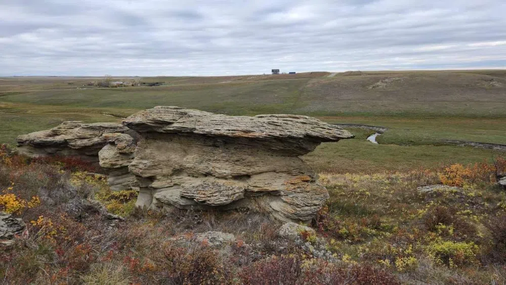 Old Women’s Buffalo Jump