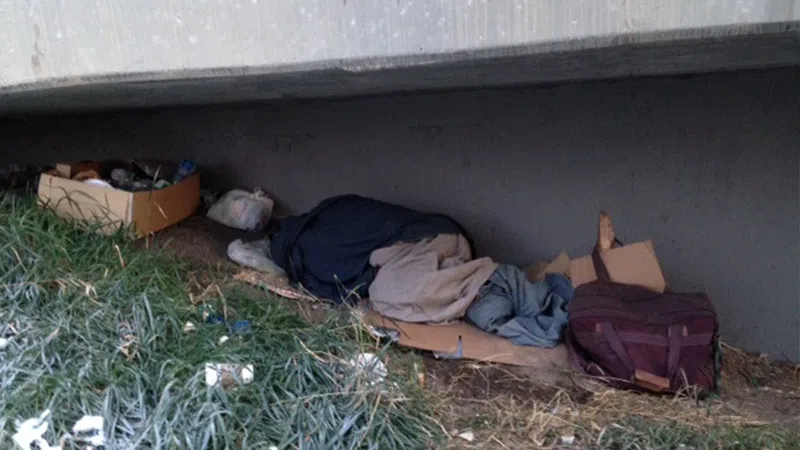 Edmonton City Council Calls Emergency Meeting On Homelessness 89 3   Homelessness Cover 