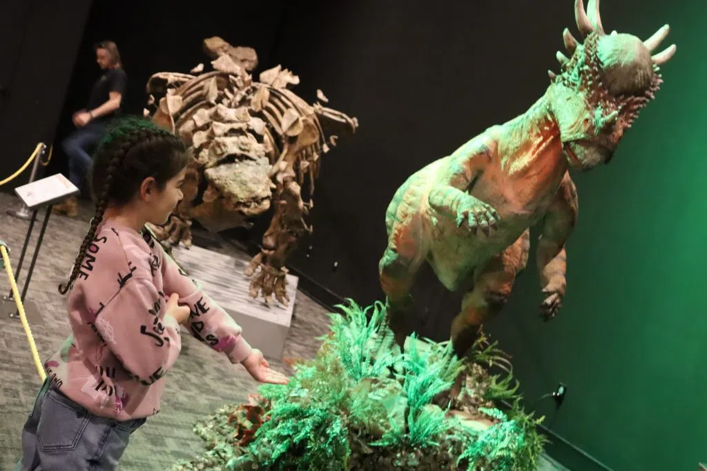 Little girl gets close with a dinosaur inside the TELUS World of Science (Photo Credits - Daniel Barker-Tremblay)