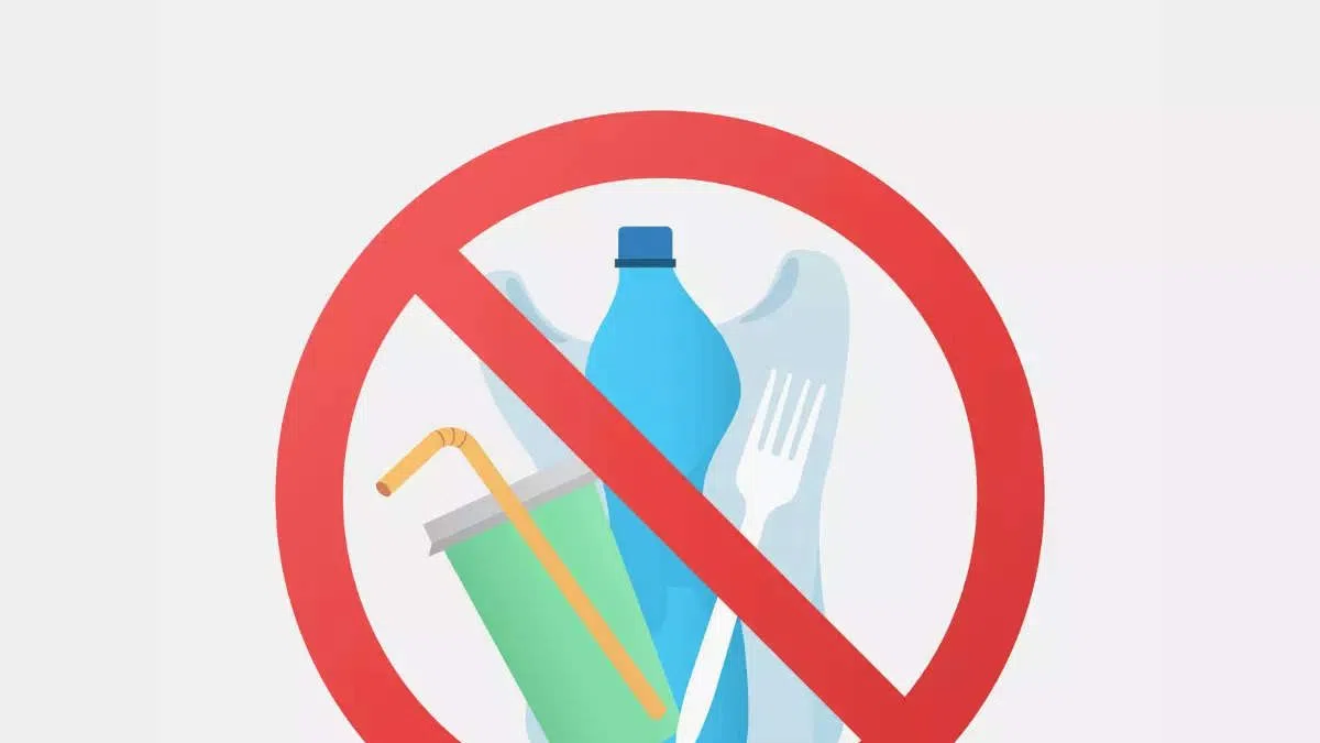 Expect another increase for reusable bags in Edmonton in July 89.3