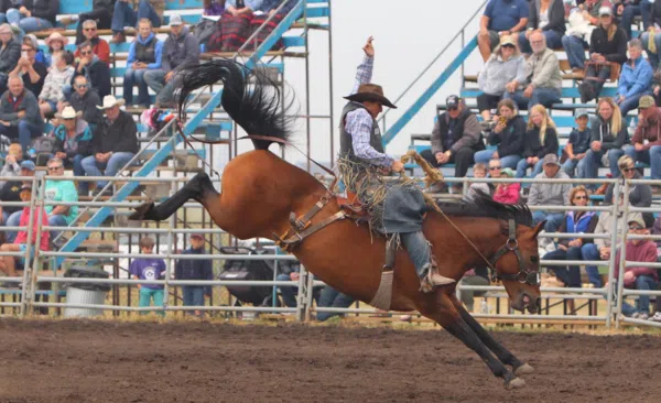 Bowden Daze Pro Rodeo Returns for a Weekend of Wild Rides | CFWE ...